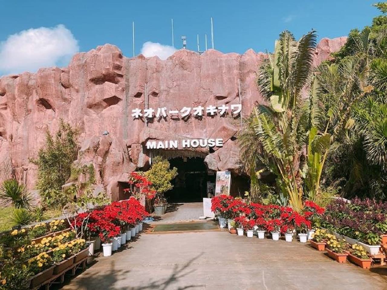 Okinawa Churaumi TokuToku Pass - image 6